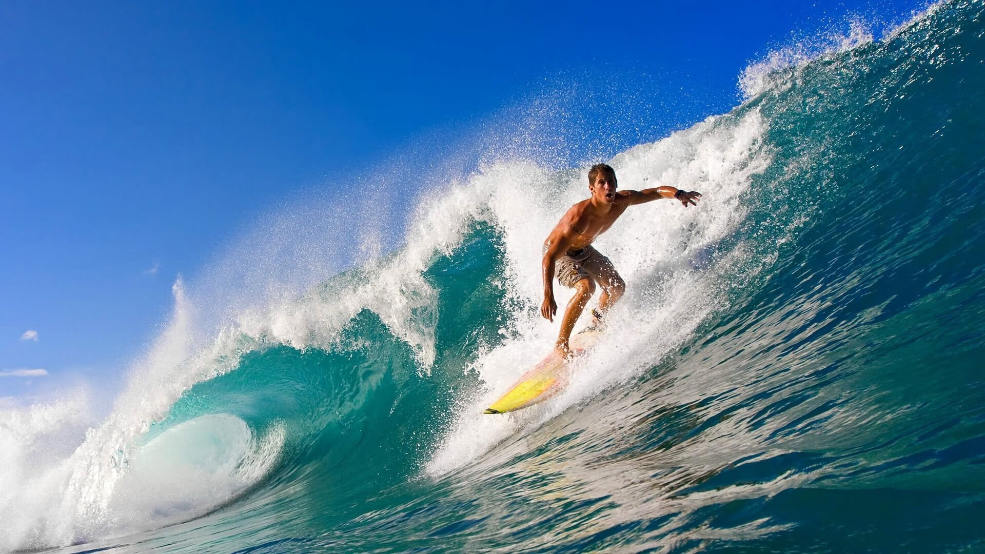 世界杯之夜，阿劳霍制胜一击，点亮美加墨足球记忆