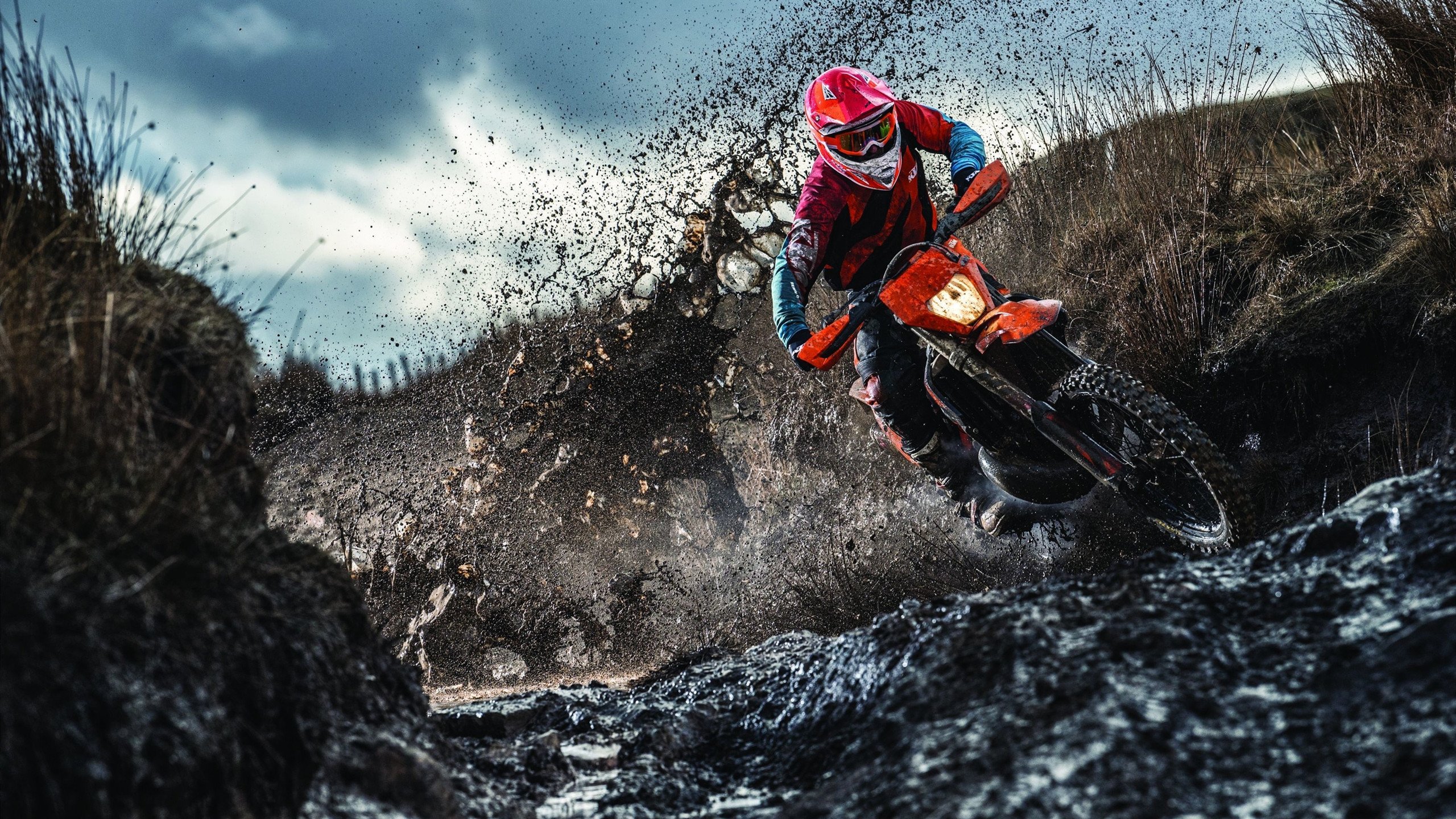 伊萨克爆发，阿尔及利亚强行终结巴拉圭的战术密码